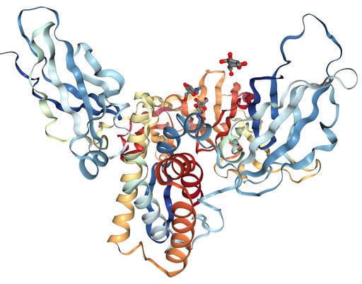 [0399-CSB-MP740921HU-500UG] Recombinant Human Interleukin-20 receptor subunit beta (IL20RB), partial (30-233aa), Mammalian cells expression - 500 ug
