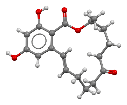 [0513-DAGA-013K] Zearalenone [KLH] - 1 mg