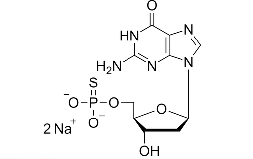 [1013-D056-05] 2'- Deoxyguanosine- 5'- O- monophosphorothioate (5'-dGMPS), sodium salt - 5 umol (~1.8 mg)