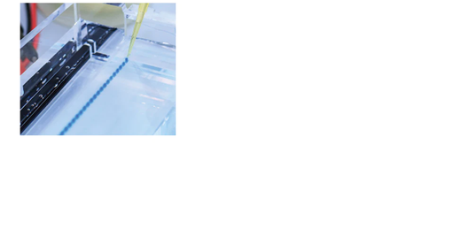 [0495-L0501-005] 6X Loading Buffer (Blue) for DNA electrophoresis gels - 5x 1 mL