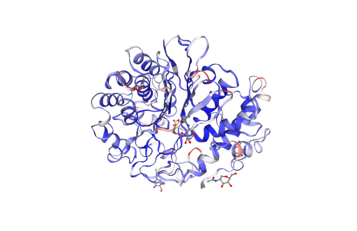 [0338-RPB375Hu01-200UG] Recombinant human Gamma-Glutamyltransferase 1 (gGT1) - 200 ug