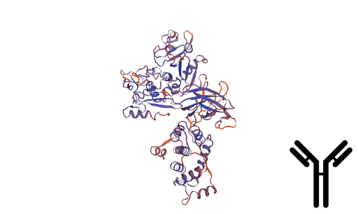 [0399-CSB-PA004495HA01HU-100UG] Calcium-activated neutral proteinase 14 (CAPN14) Antibody - 100 ug
