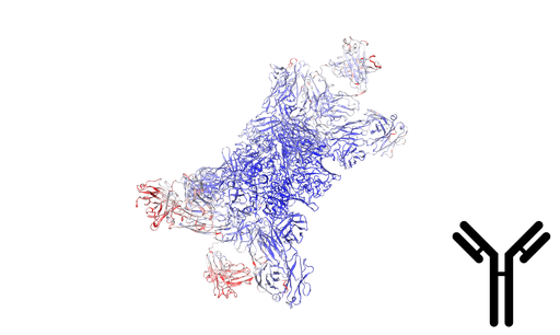 [0399-CSB-PA013749LA01HU-100UG] Microfibril-associated glycoprotein 4 (MFAP4) Antibody - 100 ug
