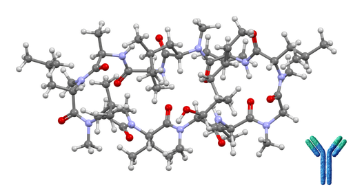 [0247-OASA00565] Cyclosporin A Monoclonal Antibody [Clone: 4A3 (CSZ.22)] - 200 ug