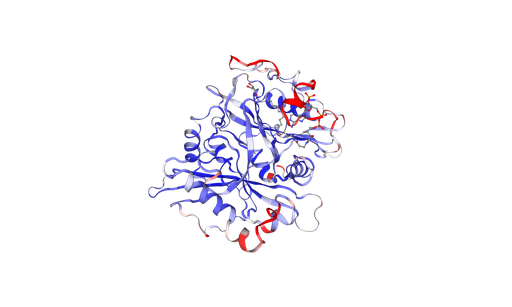 [0519-PROTP30419-500UG] Human NMT1 Recombinant Protein, His-Tag - 500 ug