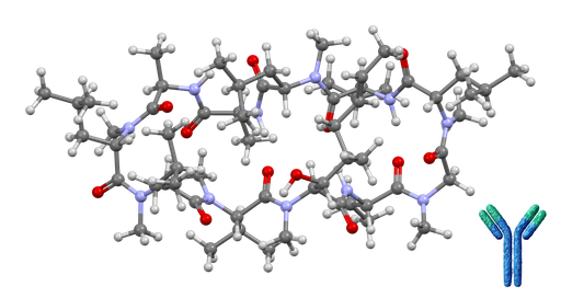 [0247-OASA00565-50MG] Cyclosporin A Monoclonal Antibody [Clone: 4A3 (CSZ.22)] - 50 mg