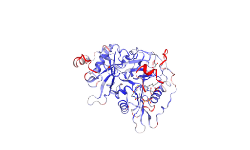 [0926-80R-4067-100UG] Human NMT1 protein (recombinant, E.coli, His-Tag) - 100 ug