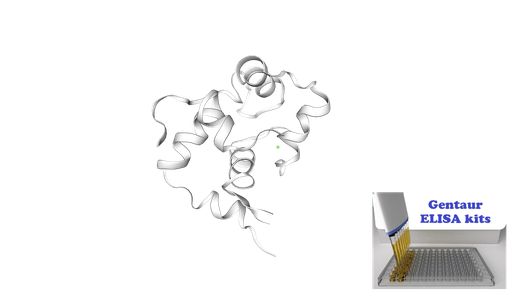 [0820-ELI-02011h] Human Troponin I, fast skeletal muscle (TNNI2) ELISA kit - 96 wells plate