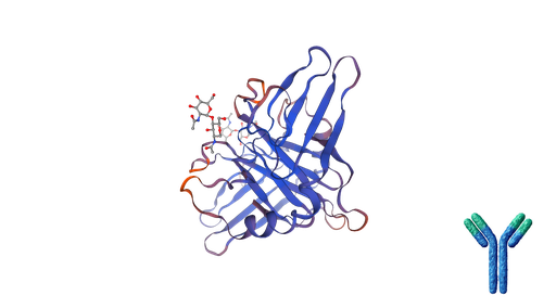 [0513-DCABH-9979] Anti-M6PR monoclonal antibody [clone: NFN349] - 200 ug