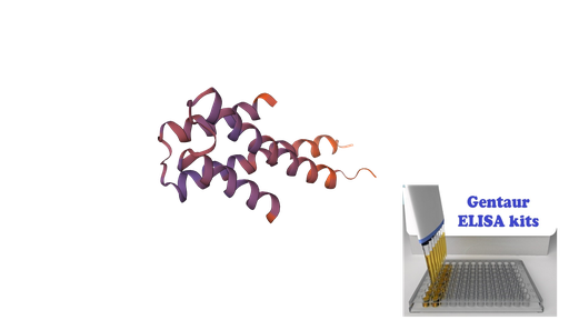 [0820-ELI-38897h] Human HEY2 Sandwich ELISA kit - 96 wells plate