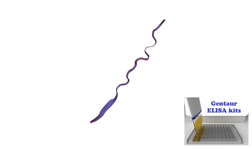 [0772-E0077Cat-96T] Cat/Feline Trypsin (TRP, TRY) ELISA Kit - 96 wells plate