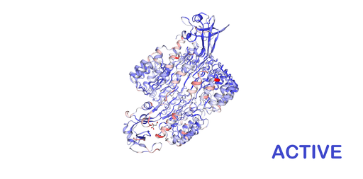 [0338-APA297Hu01-10UG] Active Recombinant Human Ribonuclease A (RNase A) - 10 ug